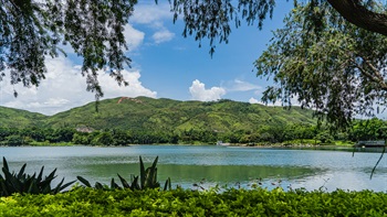 Trees with sweeping branches along the shoreline of Inspiration Lake frame the lake and distant backdrop of the mountains, a striking scenery which is rare to be found in the urban areas of Hong Kong.